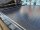 Laderaumabdeckung Nissan Navara Double Cab 2015-2023 Schwarz Set mit Trennwand und ZV